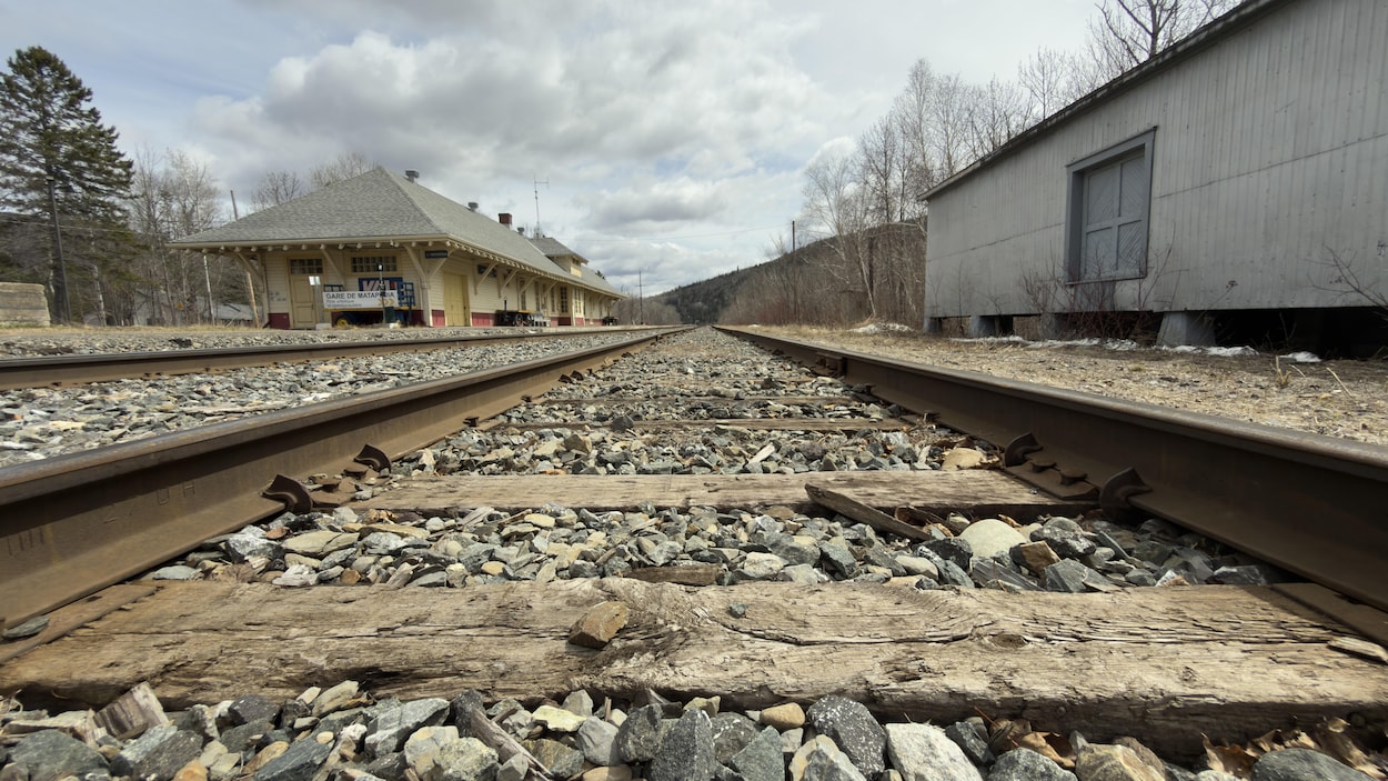 Retour du train : trop tôt pour un échéancier clair