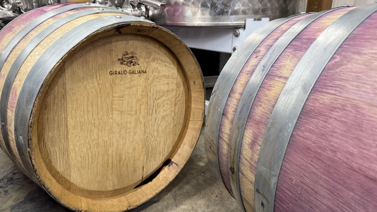 La paperasse, un frein pour la relève dans les vignobles québécois?