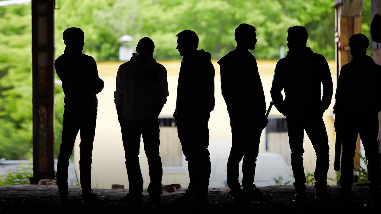 Un gang de rue, dans la pénombre