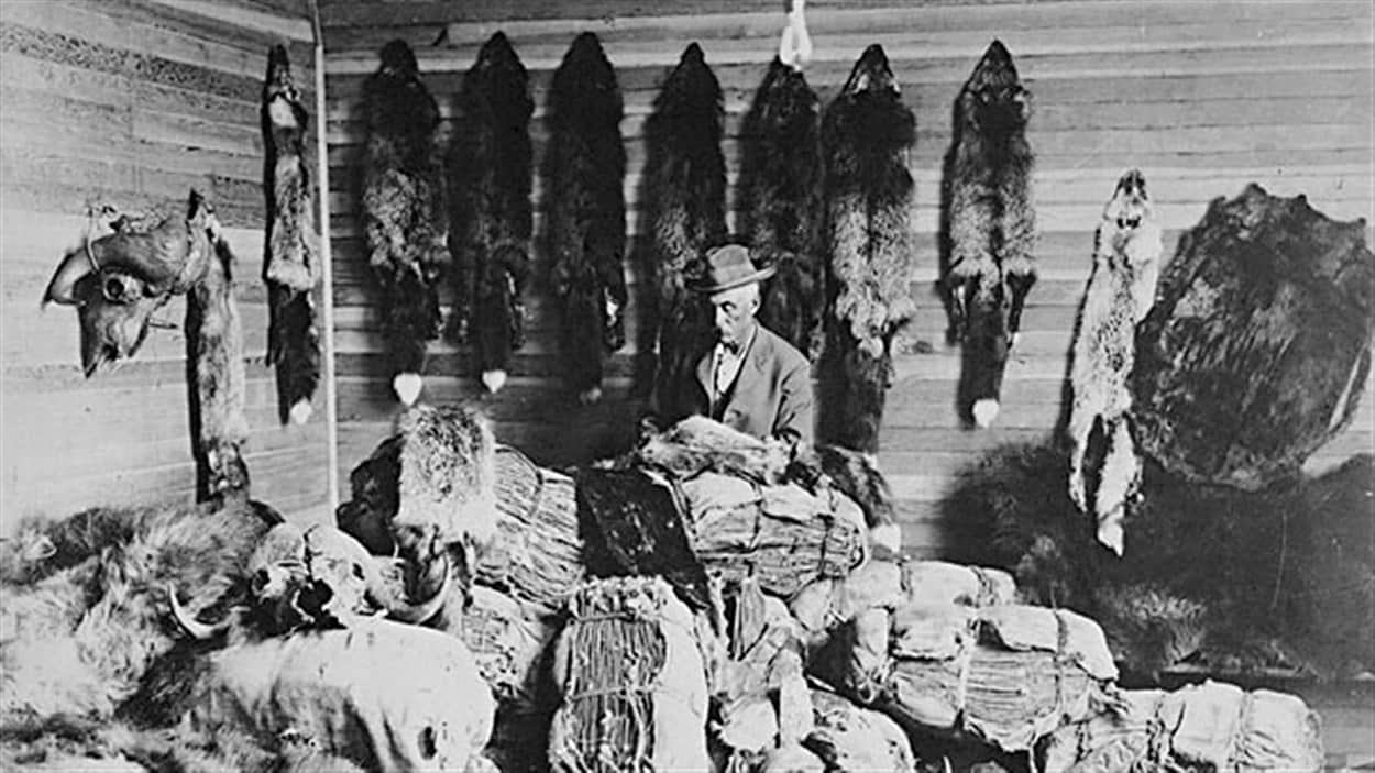 Un homme pratiquant le commerce de la fourrure en Alberta, au Canada, dans les années 1890. / © Jkelly, Wikipédia