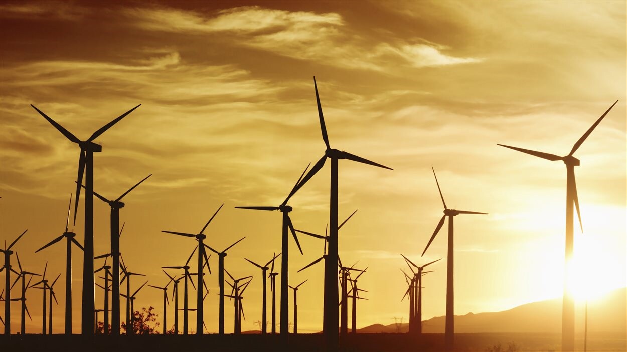 Un champs d'éoliennes