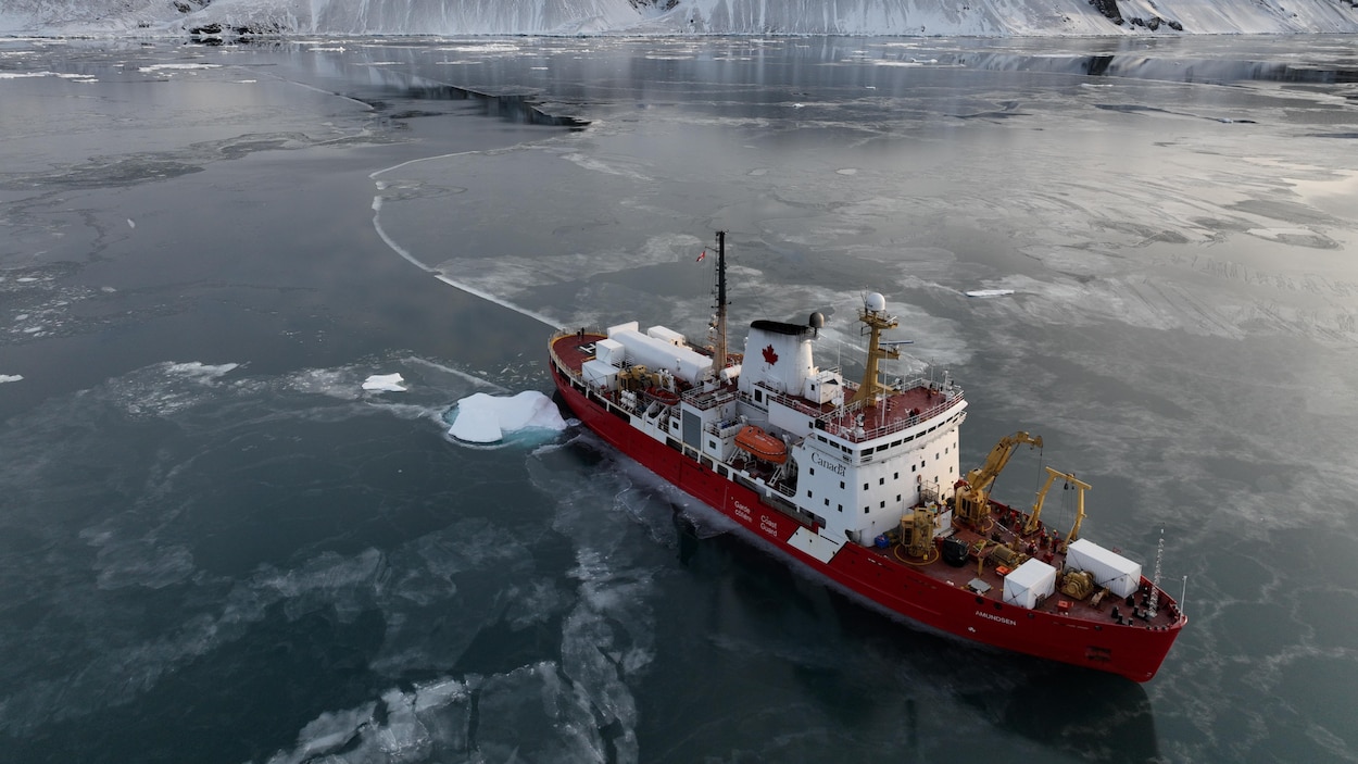 Cap sur l'Arctique : les brise-glaces au service de la science