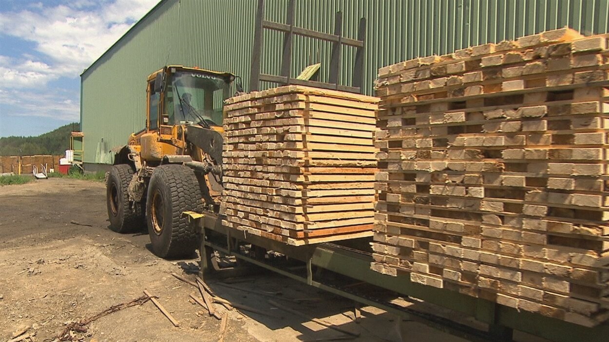 Une usine de bois d'oeuvre