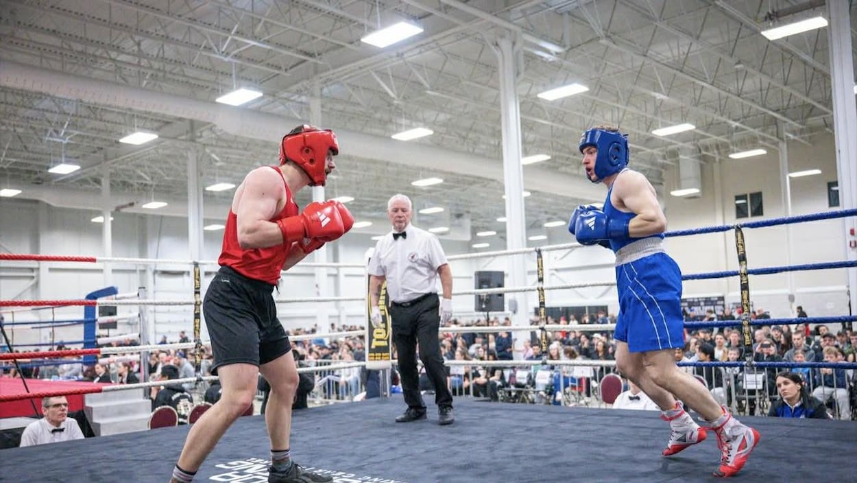 Cinq nouveaux champions de boxe olympique en Abitibi-Témiscamingue