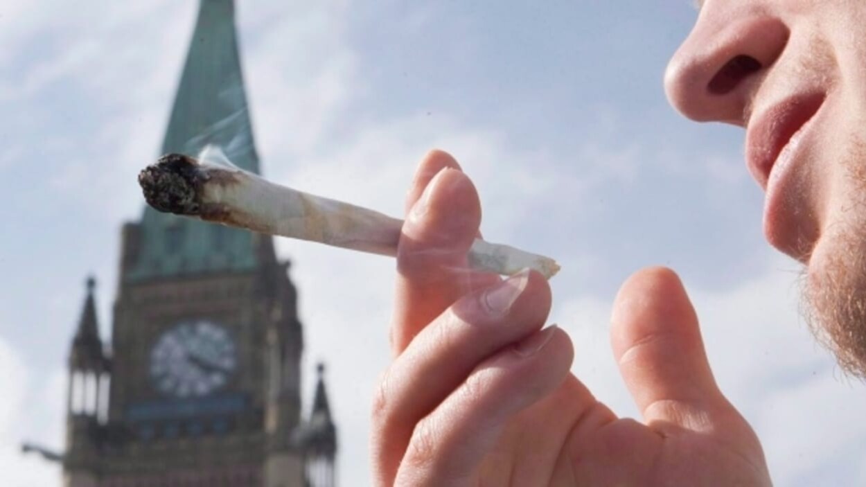 Le gouvernement n'a pas prévu de sensibilisation particulière dans les écoles aux risques associés à la consommation de marijuana.