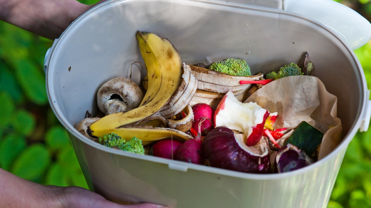 Bac de compostage domestique avec fruits et légumes