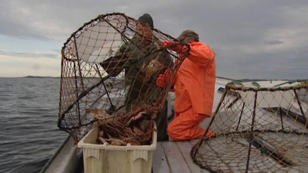 Deux pêcheurs relèvent des filets de pêche.