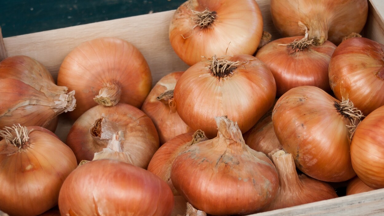 Une cagette d'oignons au marché