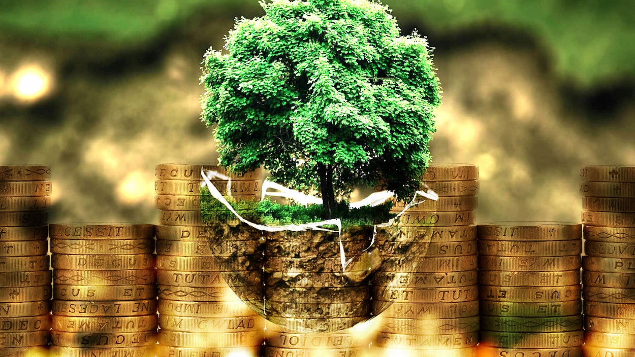 Une terre ronde où l'on voit un arbre sur un fond de pièces de monnaie.