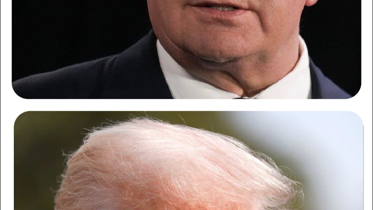 Guerre de mots entre Doug Ford et Donald Trump