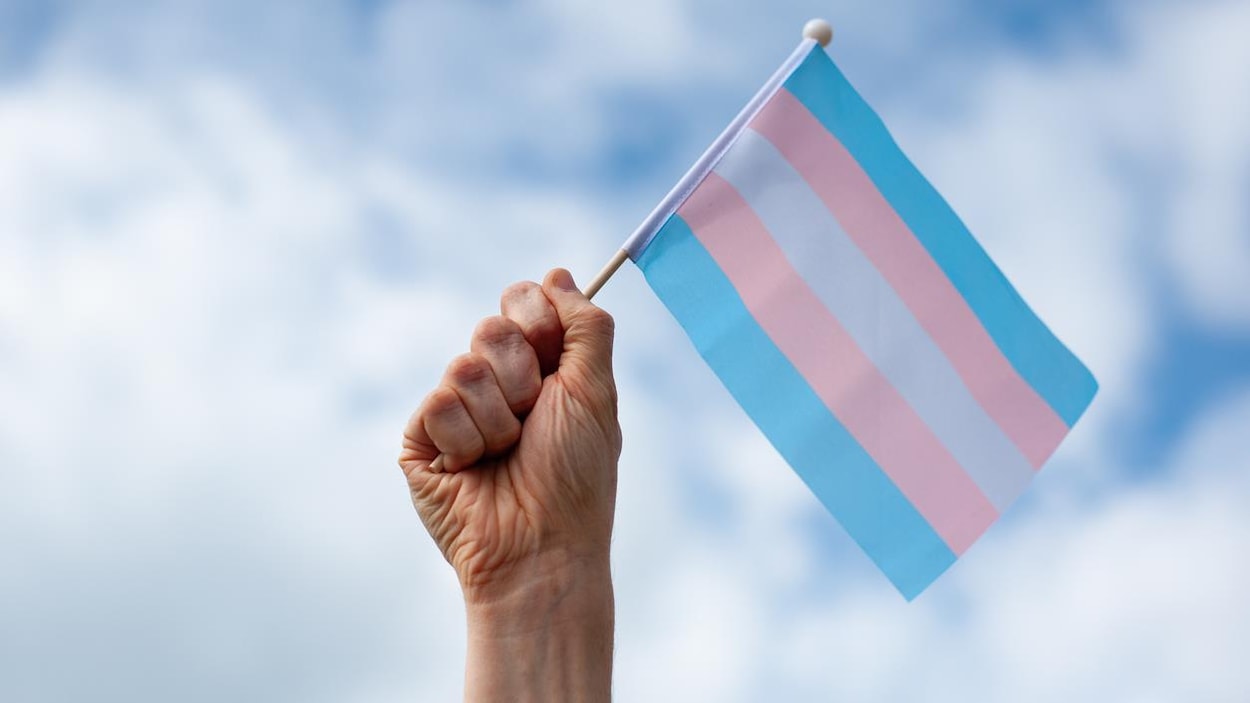 L’Association médicale canadienne conteste une loi albertaine touchant les jeunes trans