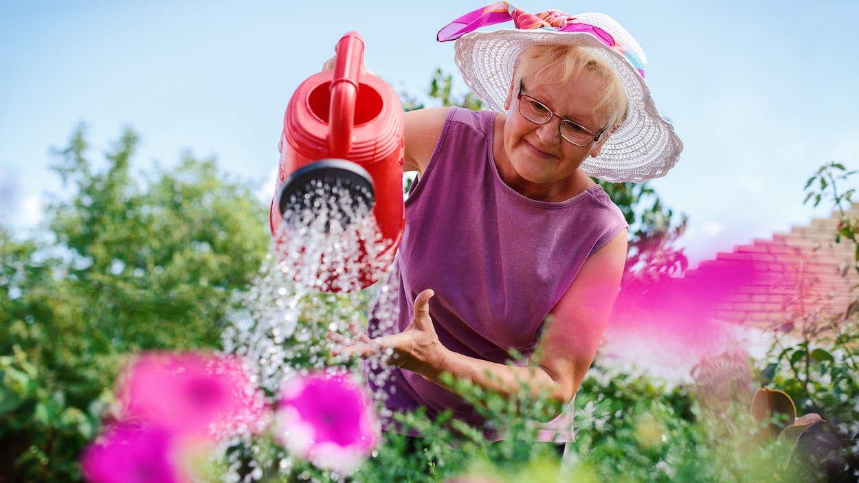 Une femme jardine. Une femme jardine.