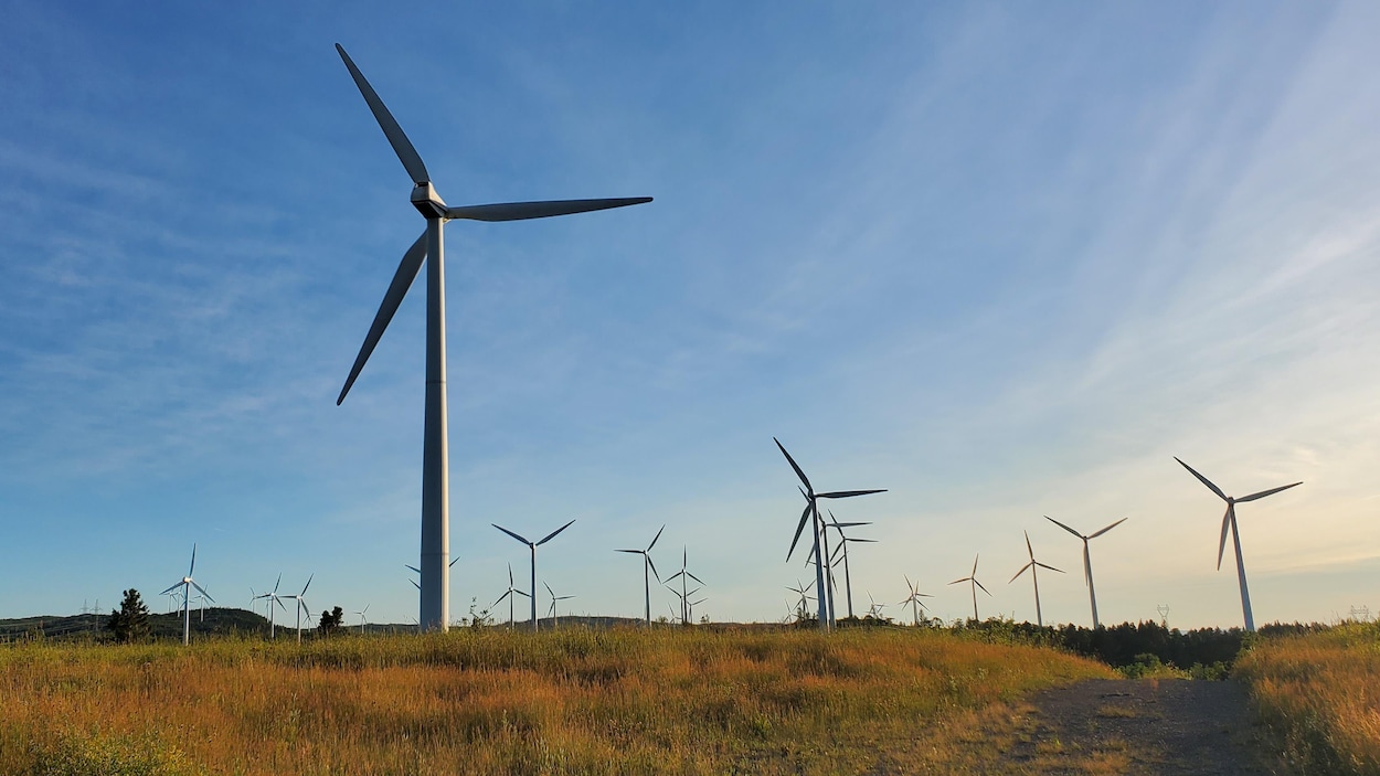 Le projet éolien-hydrogène de North Atlantic avance à Terre-Neuve