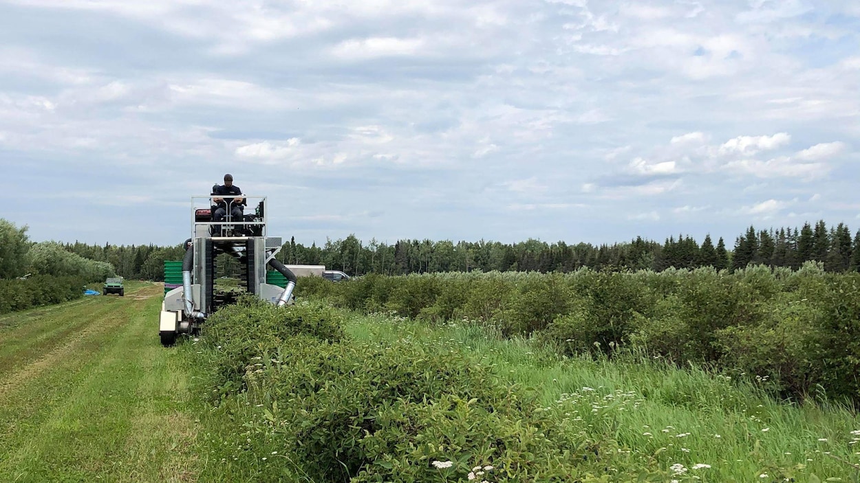 Face à un millier de tonnes de déchets, les agriculteurs doivent agir