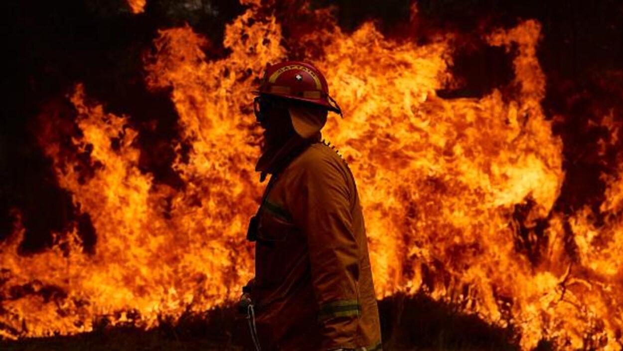 Un pompier à l'avant-plan avec un énorme brasier forestier en arrière-plan, à Sydney, en Australie.