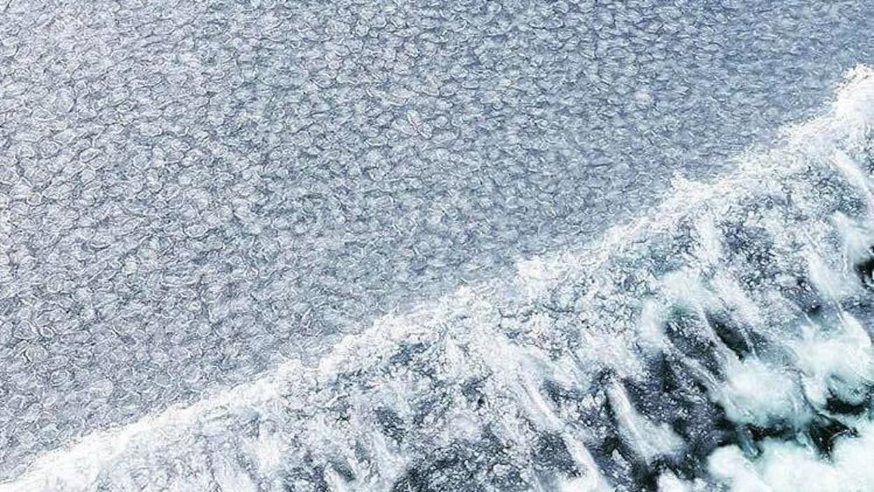 La glace est au rendez-vous dans le golfe du Saint-Laurent