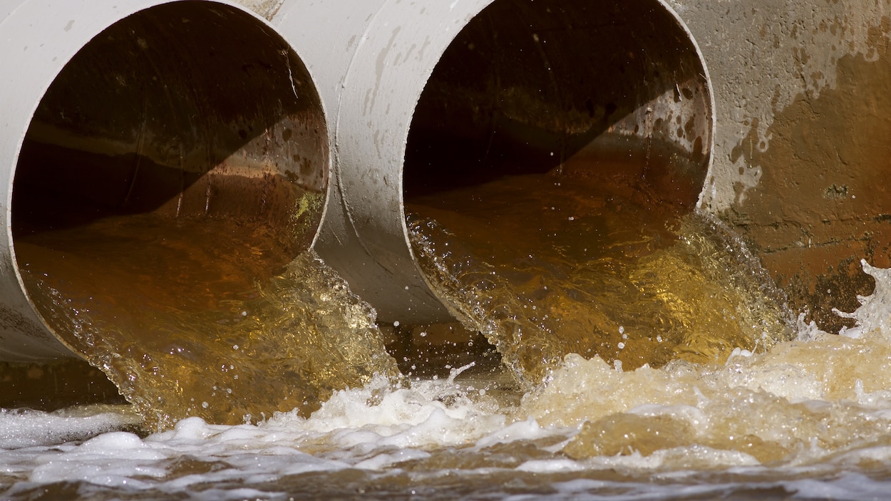 De l'eau, en bon débit, sort de deux gros tuyaux et se déverse dans un cours d'eau.