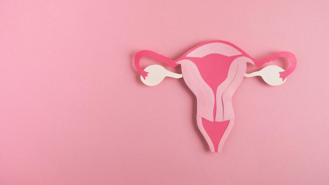 Cliniques gratuites de dépistage du cancer du col au CHUS