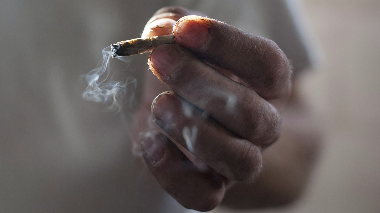 Le cannabis sera bientôt disponible pour la vente au détail Le cannabis sera bientôt disponible pour la vente au détail