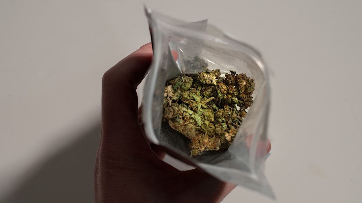 Gros plan d'un paquet de marijuana.