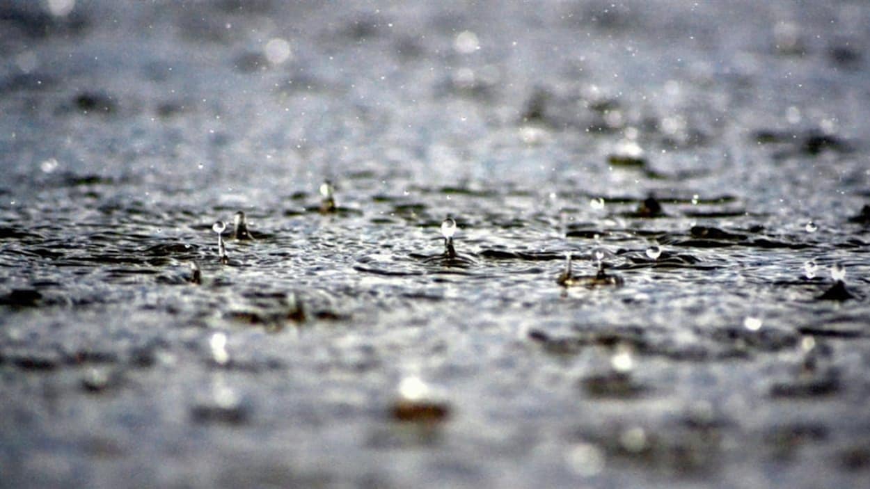 Des gouttes de pluie sur un sol trempé.