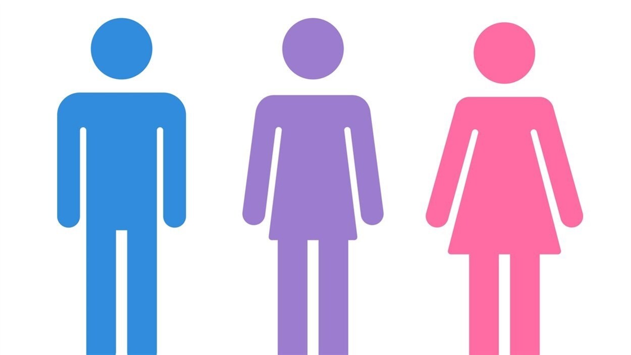 Figures d'homme, de transgenre et de femme