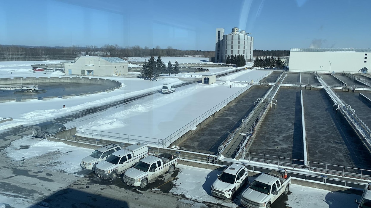 5 ans après la pandémie, qu’est-il advenu de la surveillance des eaux usées au Canada?