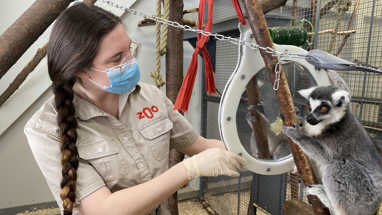 130 Granby Zoo staff locked down