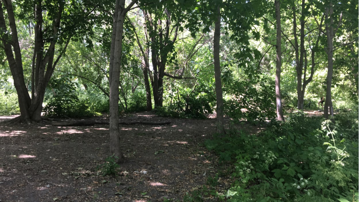 Chicane de clôture entre Santé Québec et des résidents d’Hochelaga-Maisonneuve