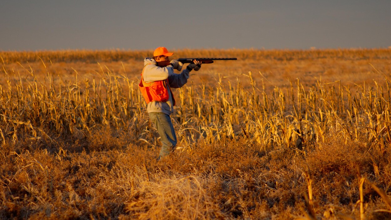 La Saskatchewan écourte la saison de chasse de gibier à plumes pour les non-résidents