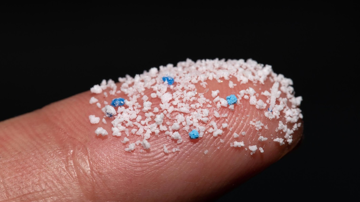 Les particules de plastique augmenteraient le risque d’infarctus