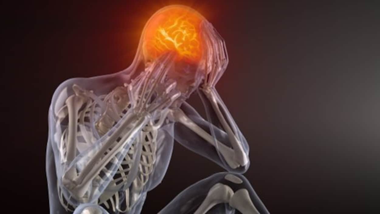 Transparent numérique d'un corps humain et le cerveau