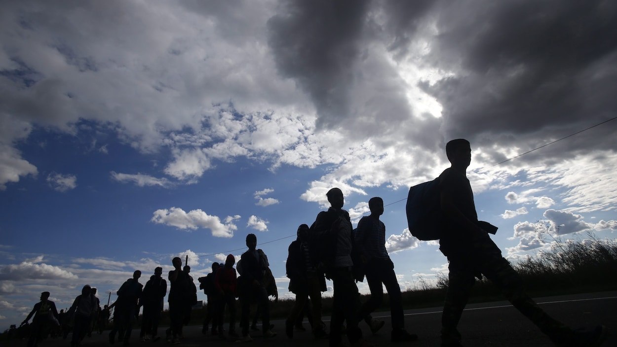 Des migrants et réfugiés marchent près de la frontière entre la Serbie et la Hongrie, en Europe.