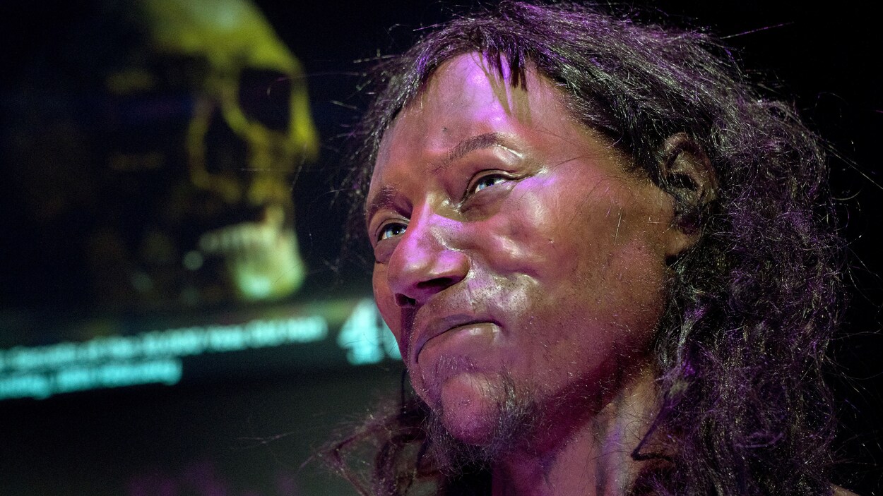 Reconstitution du visage de l'homme de Cheddar, soit les restes d'un homme qui aurait vécu en Angleterre il y a plus de 10 000 ans Reconstitution du visage de l'homme de Cheddar, soit les restes d'un homme qui aurait vécu en Angleterre il y a plus de 10 000 ans