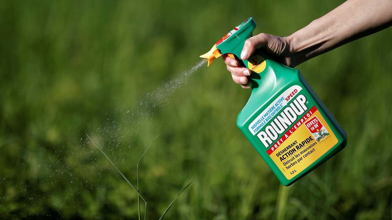 Le désherbant Roundup de Monsanto.