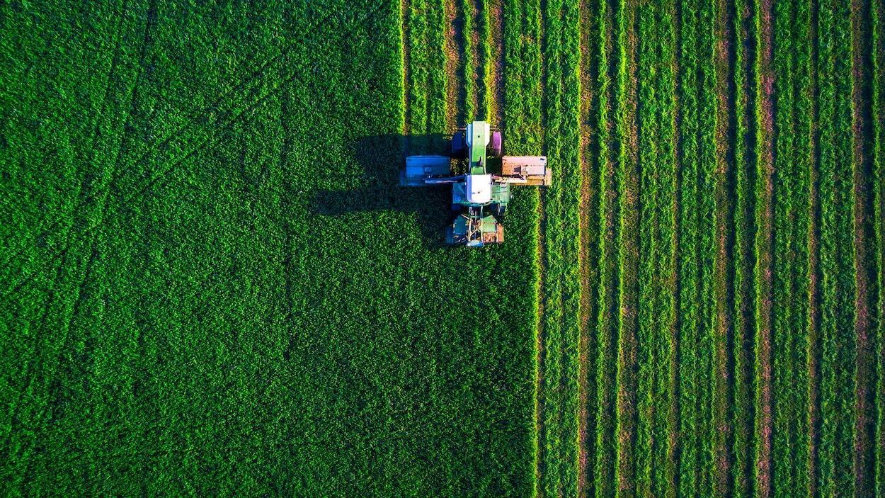 Terres agricoles : le déboisement pourrait émettre jusqu’à 21 Mt de GES en 10 ans
