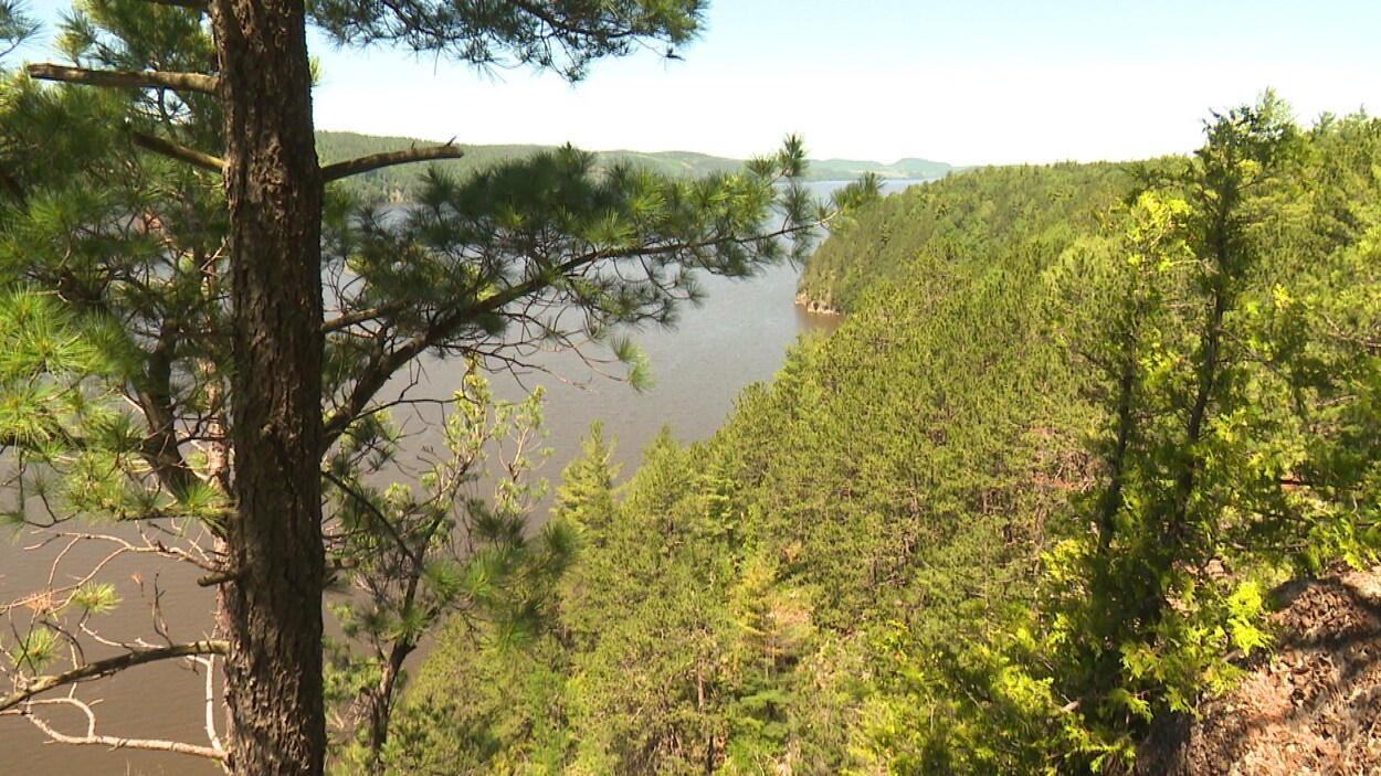 La vue du parc national Opémican situé dans le sud du Témiscamingue.