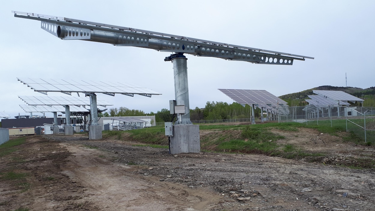 Des panneaux solaires dans le parc solaire de l'Université de Sherbrooke.