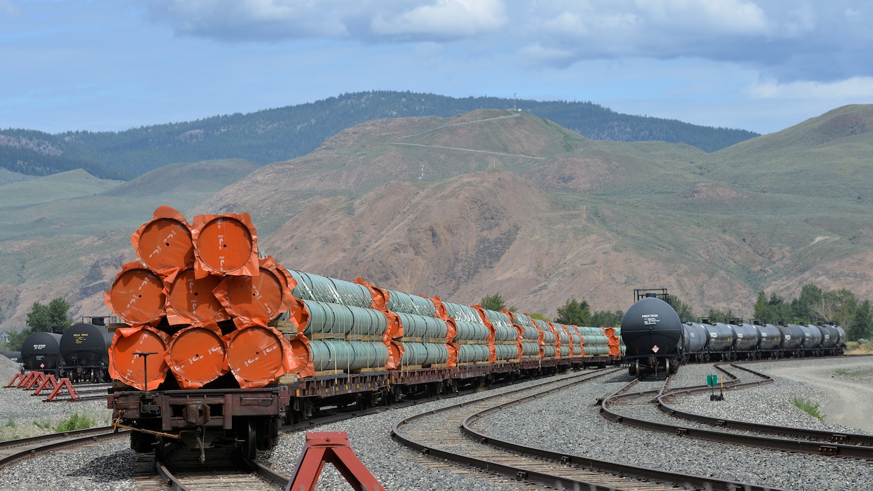 Les tuyaux sont sur des wagons de train, devant un paysage montagneux.