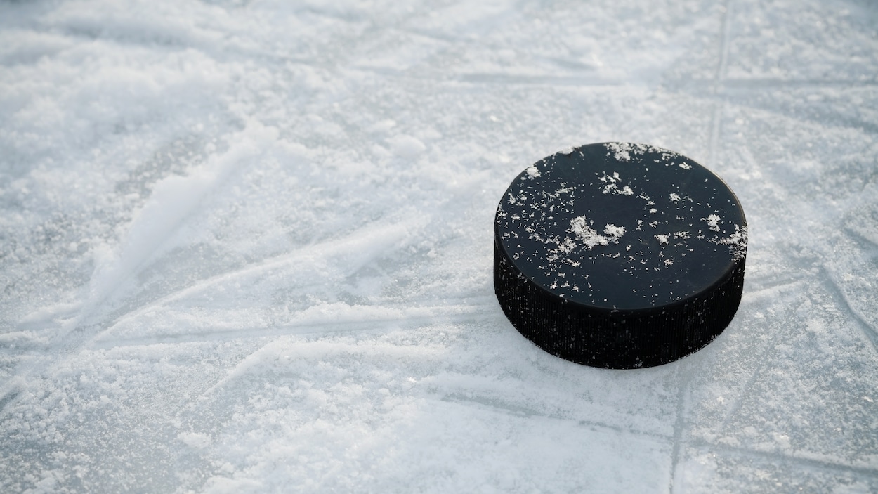 Une rondelle de hockey