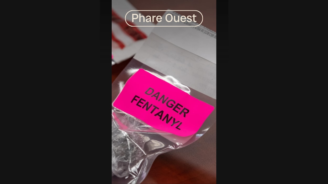 Utiliser l’IA pour tracer la drogue en C.-B.