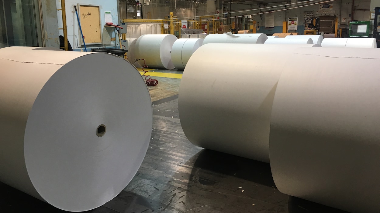 Des rouleaux de papier.