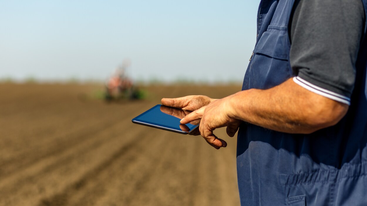 Un fermier utilise un iPad.
