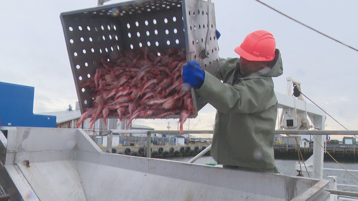 Quand l’IA s’invite dans les pêches et l’industrie maritime