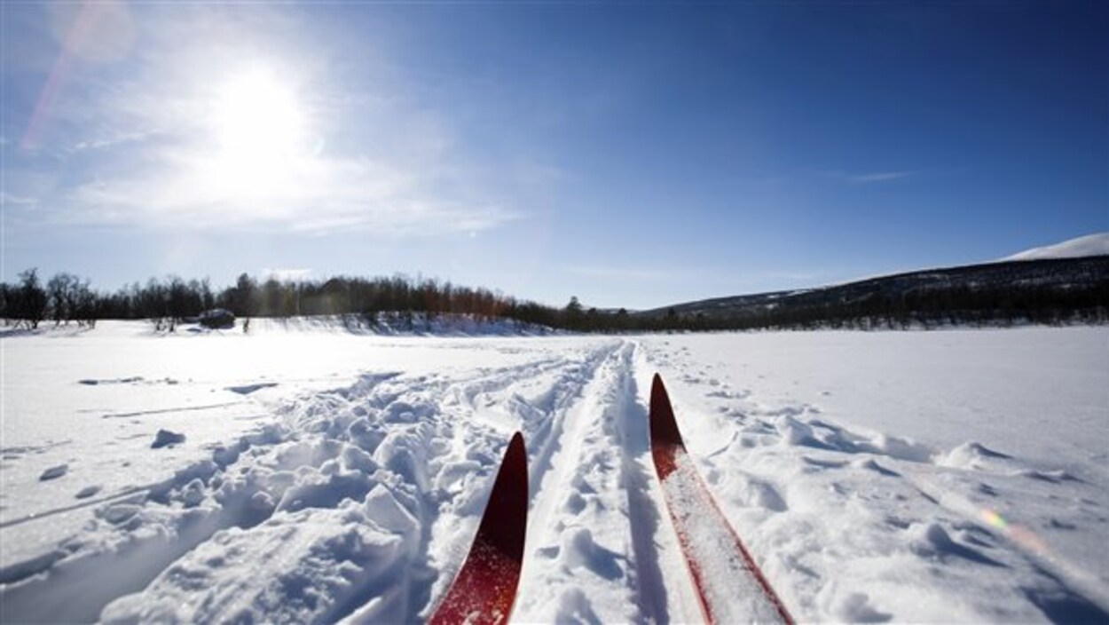 On voit deux avants de ski dans la neige.