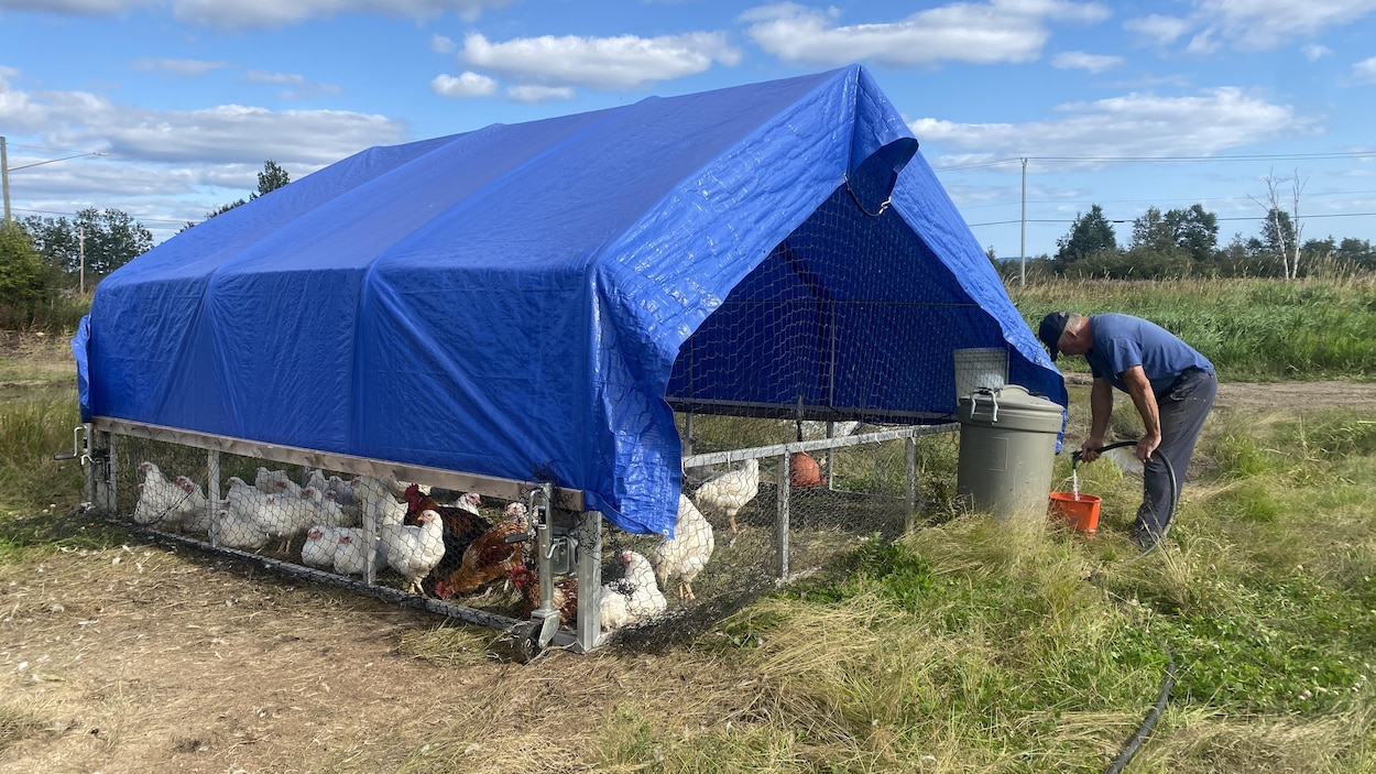 « Aboutissement d’une vie » : un premier abattoir dans Sept-Rivières
