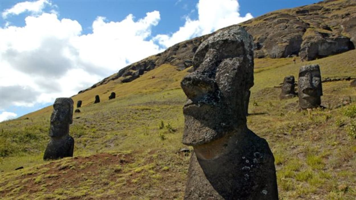 Statues de pierre sur l'île de Pâques.
