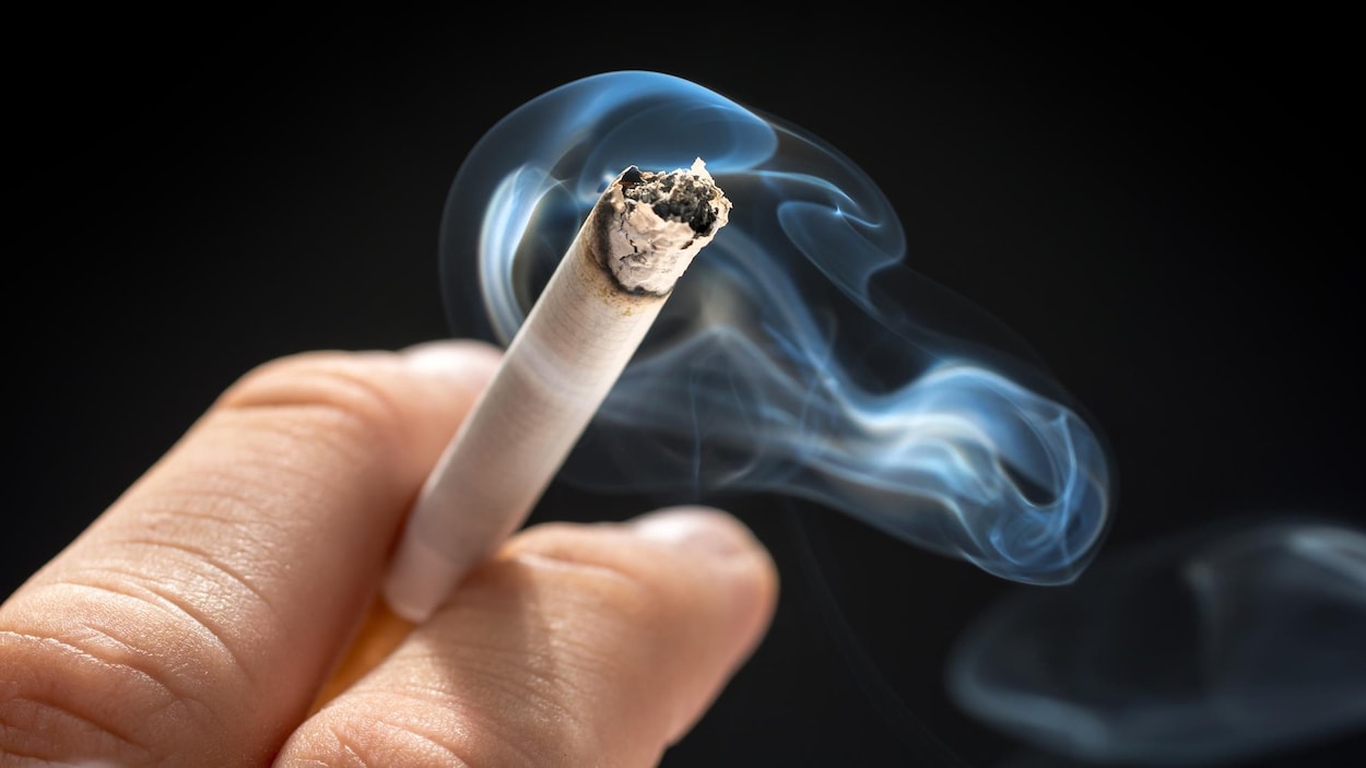Deux septuagénaires arrêtées avec près de 50 000 cigarettes de contrebande