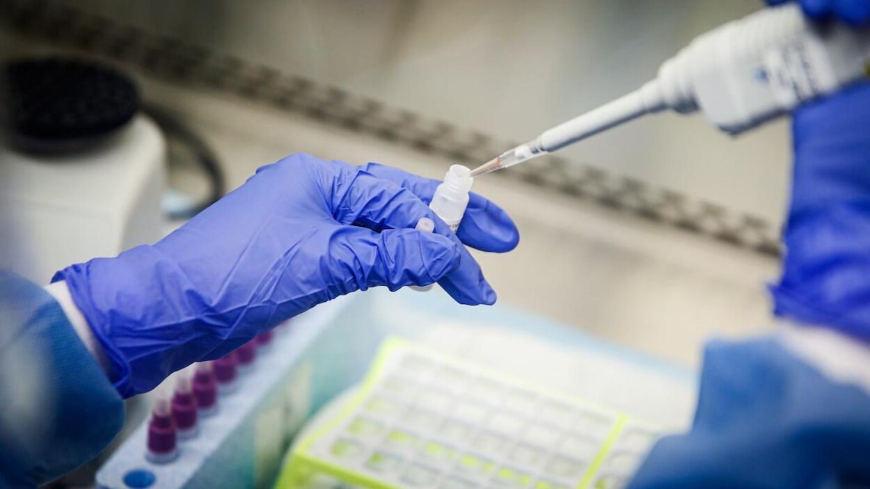 Un Centre De Depistage De La Covid 19 Sans Rendez Vous Ouvre A Sherbrooke Coronavirus Radio Canada Ca