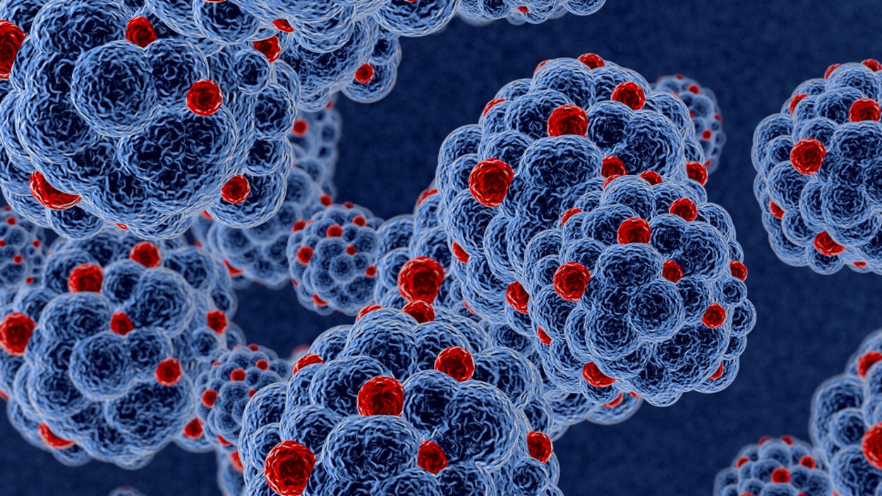 Des cellules du virus du sida attaquant l'organisme